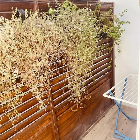 Bonaventura-3
